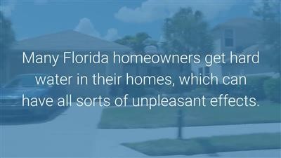 Best Price On Everpure Water Filtration Catalog